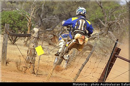 australasian_safari2008_0125.jpg