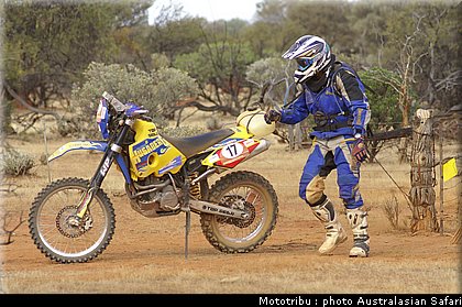 australasian_safari2008_0128.jpg