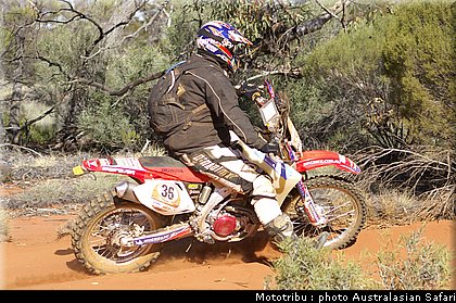 australasian_safari2008_0129.jpg