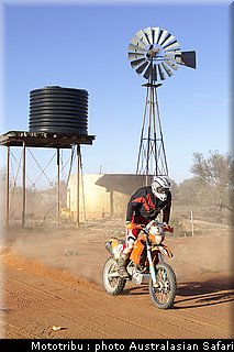australasian_safari2008_0131.jpg
