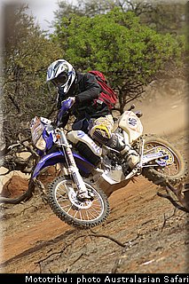 australasian_safari2008_0133.jpg