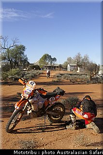 australasian_safari2008_0134.jpg