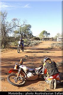 australasian_safari2008_0136.jpg