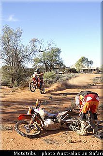 australasian_safari2008_0138.jpg
