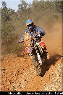 australasian_safari2008_0139.jpg