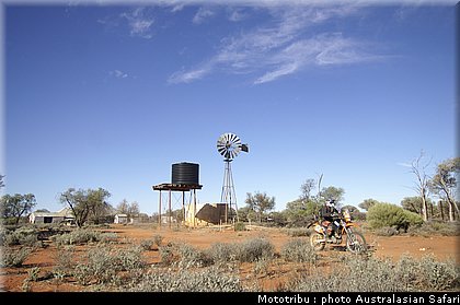 australasian_safari2008_0143.jpg