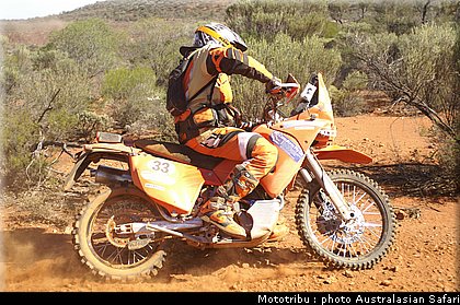 australasian_safari2008_0146.jpg