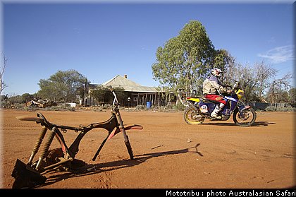 australasian_safari2008_0151.jpg