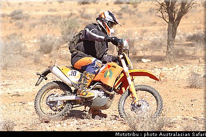 australasian_safari2008_0159.jpg