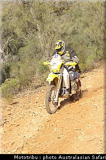 australasian_safari2008_0160.jpg