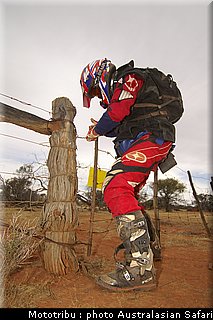 australasian_safari2008_0169.jpg