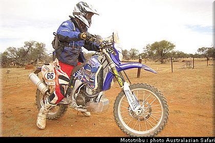 australasian_safari2008_0175.jpg