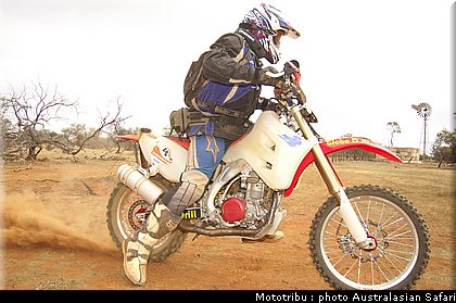 australasian_safari2008_0176.jpg