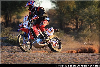 australasian_safari2008_0178.jpg
