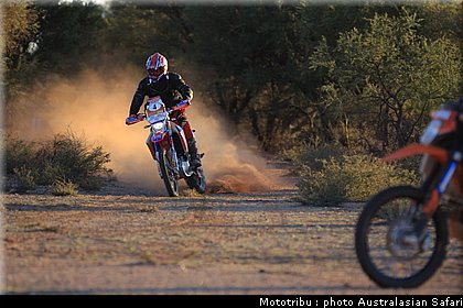 australasian_safari2008_0179.jpg