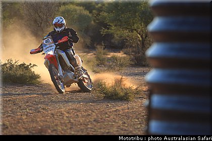 australasian_safari2008_0182.jpg