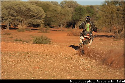 australasian_safari2008_0183.jpg