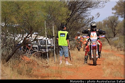 australasian_safari2008_0193.jpg