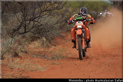 australasian_safari2008_0194.jpg