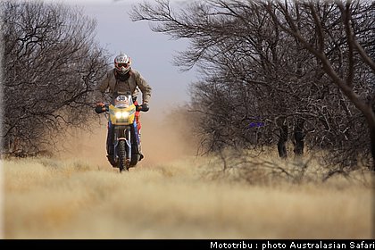 australasian_safari2008_0196.jpg