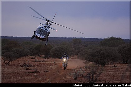 australasian_safari2008_0198.jpg