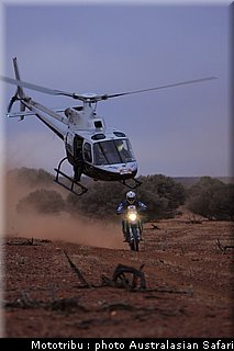 australasian_safari2008_0199.jpg