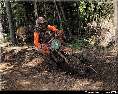 010snowshoe_williamson_1.jpg