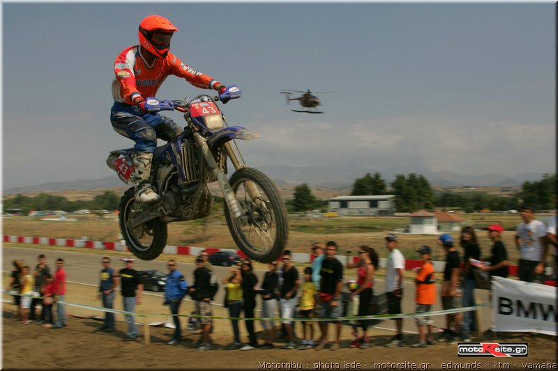 isde_0211_vogels