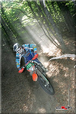 isde_0206_trigas_2.jpg
