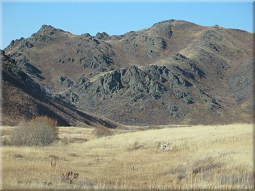 transorientale_reco_2007_0052.jpg