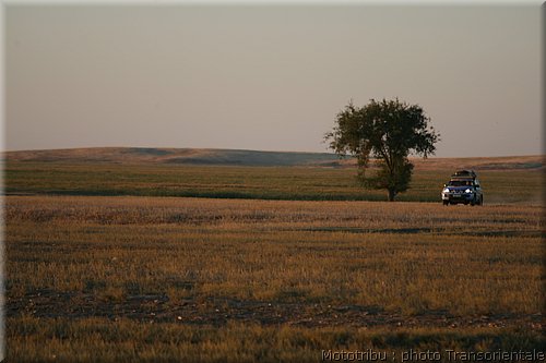 transorientale_reco_2007_0077.jpg