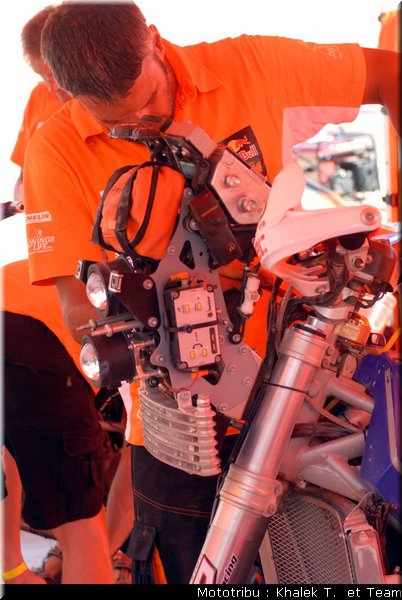 paddock_1
