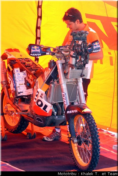paddock_2