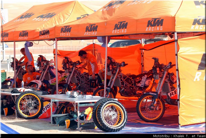 paddock_4