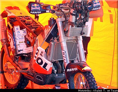 paddock_2.jpg