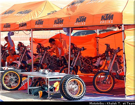 paddock_4.jpg