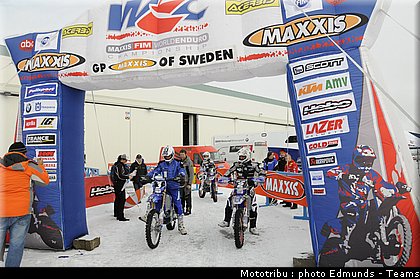 paddock_02.jpg