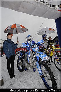paddock_07.jpg