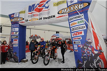 paddock_09.jpg