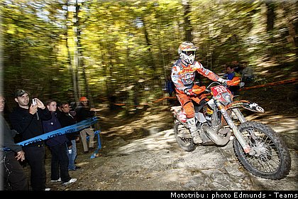 belometti_1.jpg