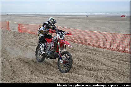 0125_pichon_5.jpg