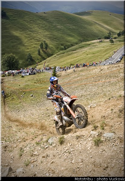 birch_10