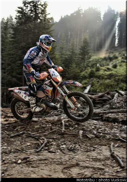 despres_08