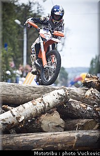 birch_08.jpg