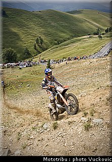 birch_10.jpg