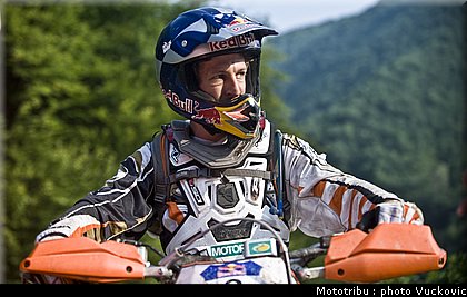 birch_12.jpg