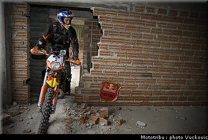 birch_15.jpg
