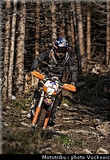 birch_18.jpg