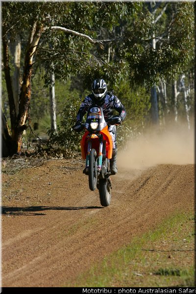 lang_australasian_safari2009
