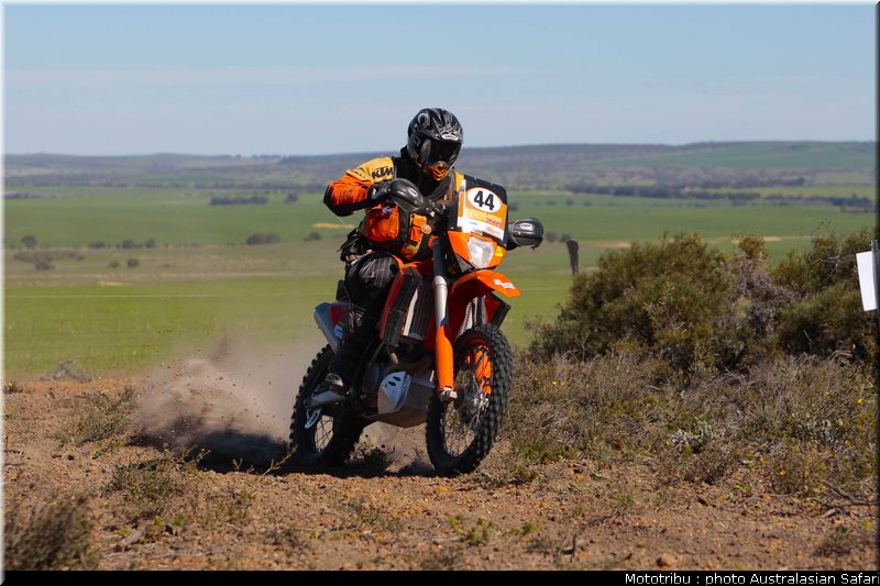 steven_mccormack_australasian_safari2009